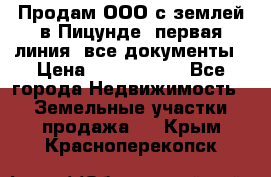 Продам ООО с землей в Пицунде, первая линия, все документы › Цена ­ 9 000 000 - Все города Недвижимость » Земельные участки продажа   . Крым,Красноперекопск